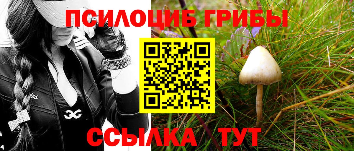 Калуга  Псилоцибиновые грибы GOLDEN TEACHER  Вход с VPN 