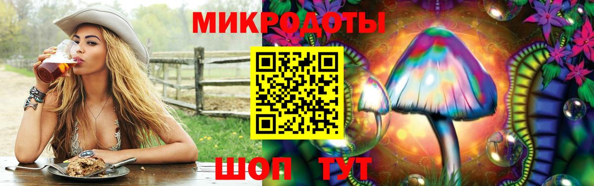 Псилоцибиновые грибы Cubensis Калуга